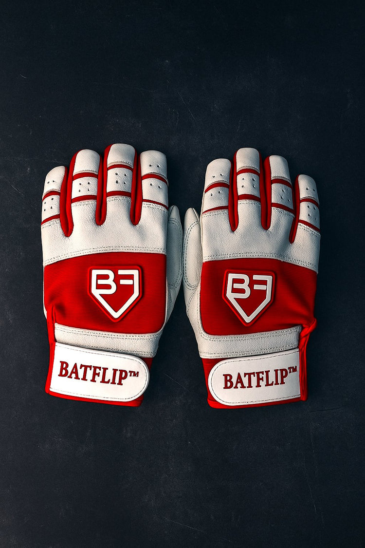 The Beginning Series